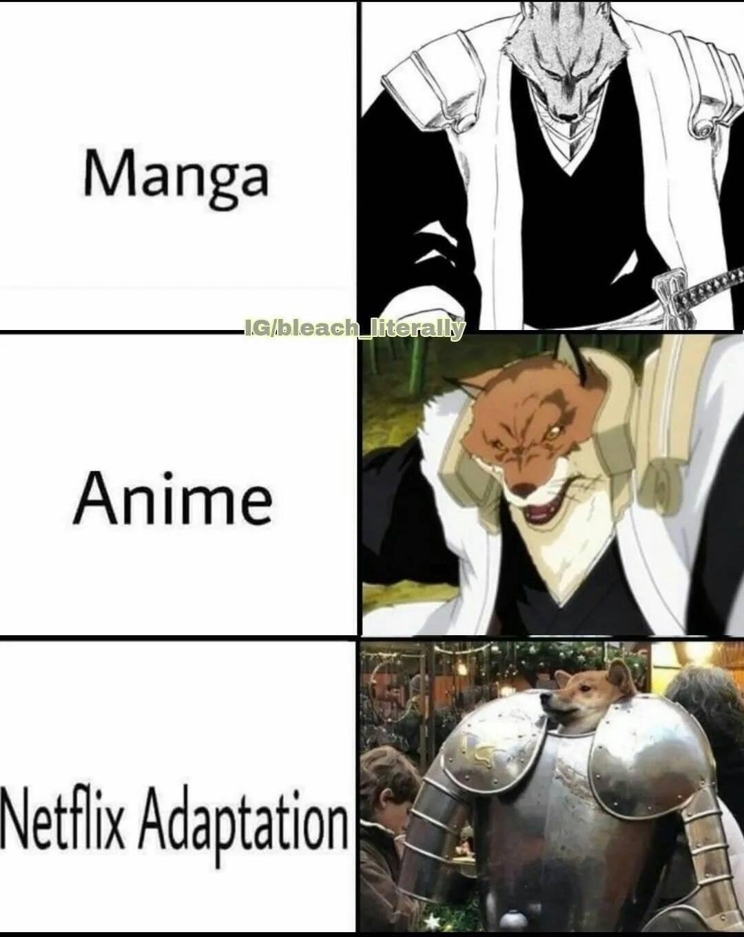 Netflix Adaptation