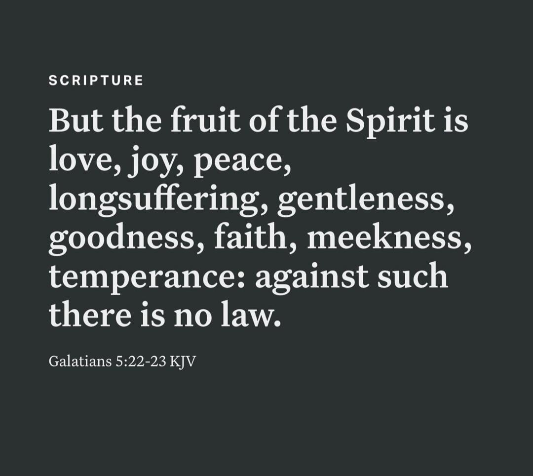 SCRIPTURE But the fruit of the Spirit is love, joy, peace, longsuffering, gentleness, goodness, faith, meekness, temperance: against such there is no law. Galatians 5:22-23 KJV