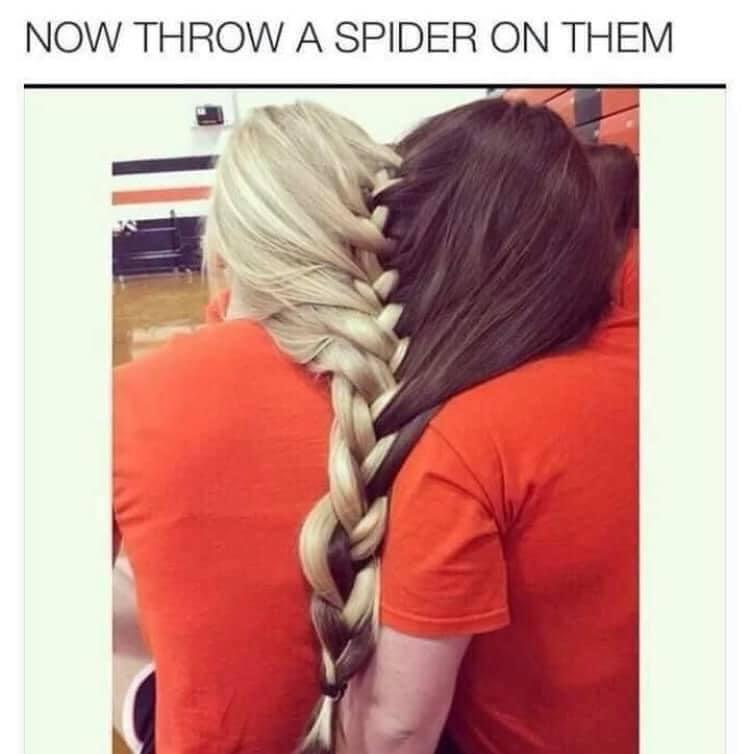 NOW THROW A SPIDER ON THEM
