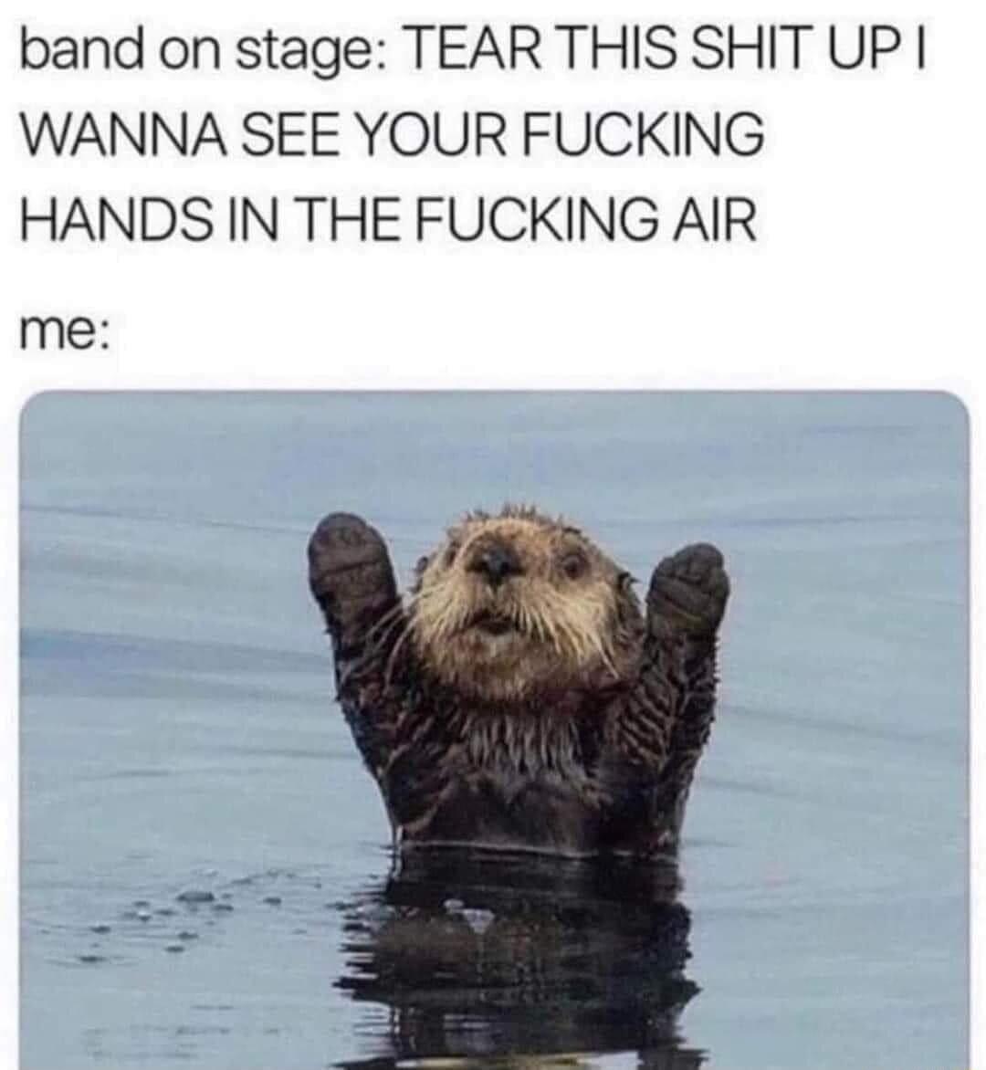 band on stage TEAR THIS SHIT UP WANNA SEE YOUR FUCKING HANDS IN THE FUCKING AIR me