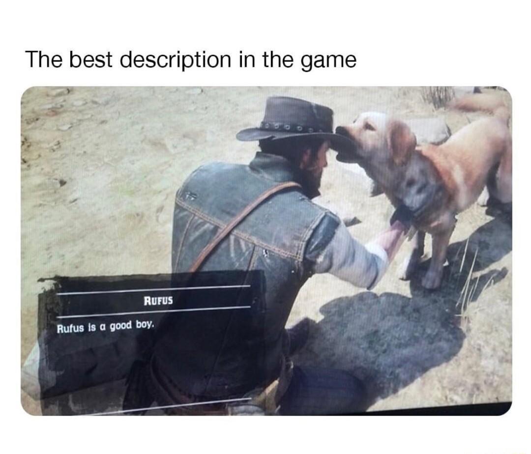 The best description in the game