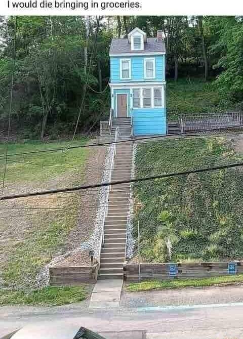 Iwould die bringing in groceries