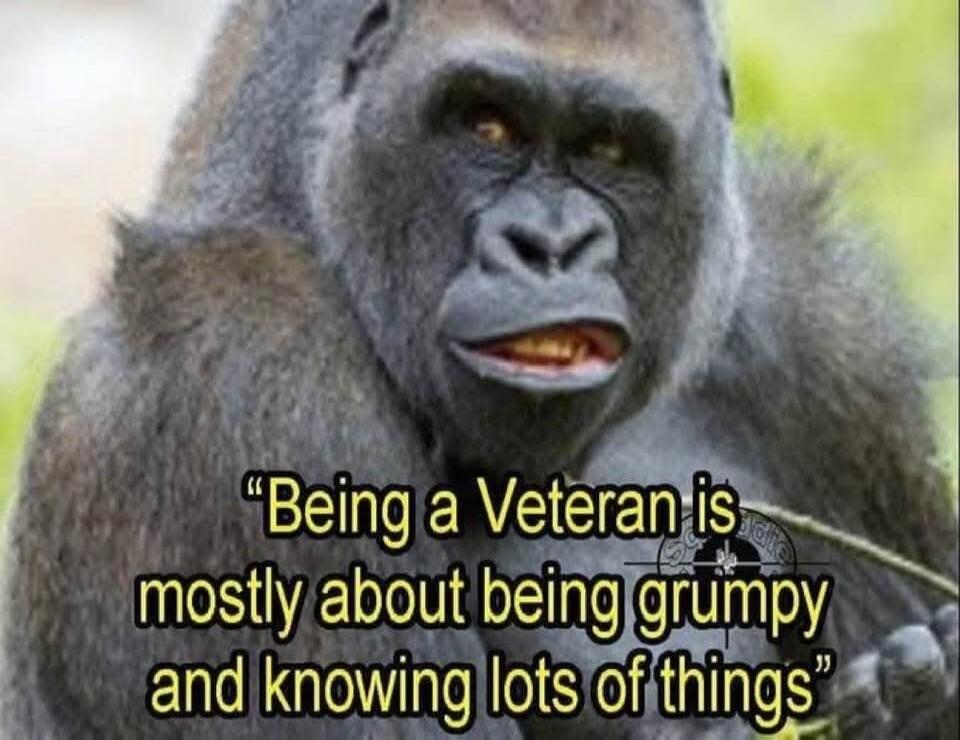Being a Veteran is mostly about being grumpy and knowing lots of things