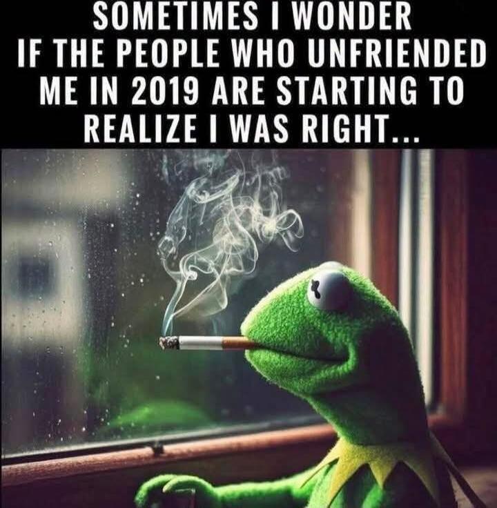 SOMETIMES I WONDER IF THE PEOPLE WHO UNFRIENDED ME IN 2019 ARE STARTING TO REALIZE I WAS RIGHT...