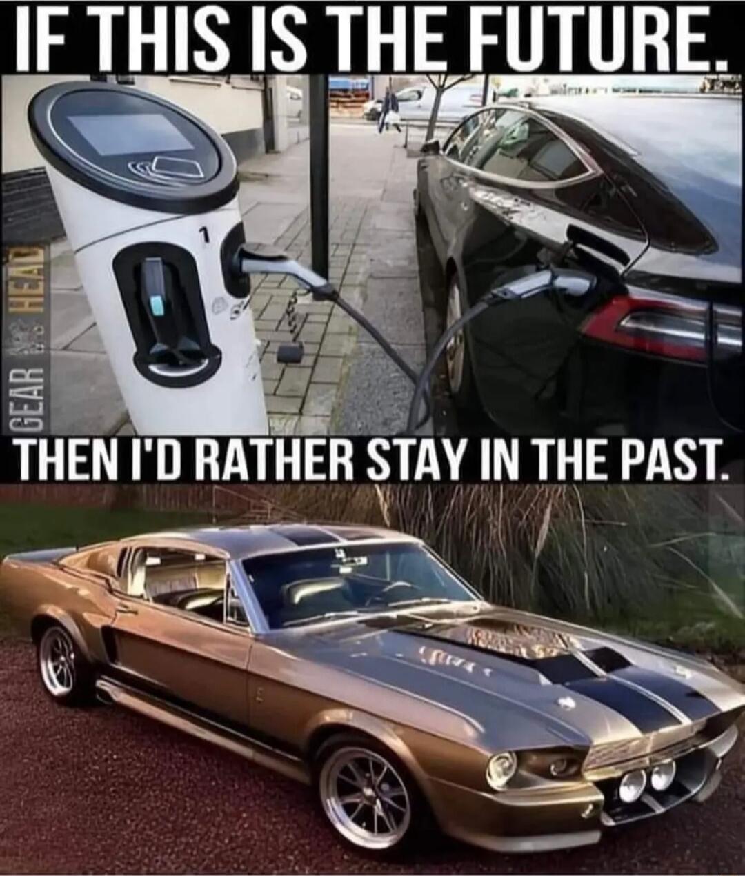 IF THIS IS THE FUTURE _