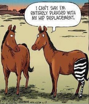 I can't say I'm entirely pleased with my hip replacement.