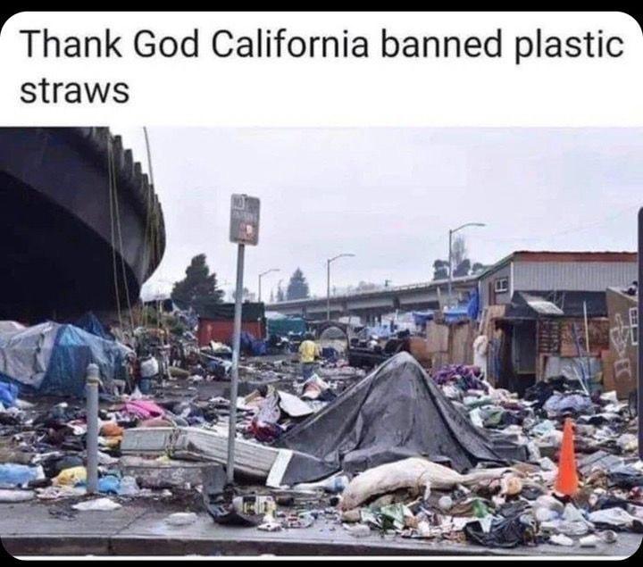 Thank God California banned plastic straws