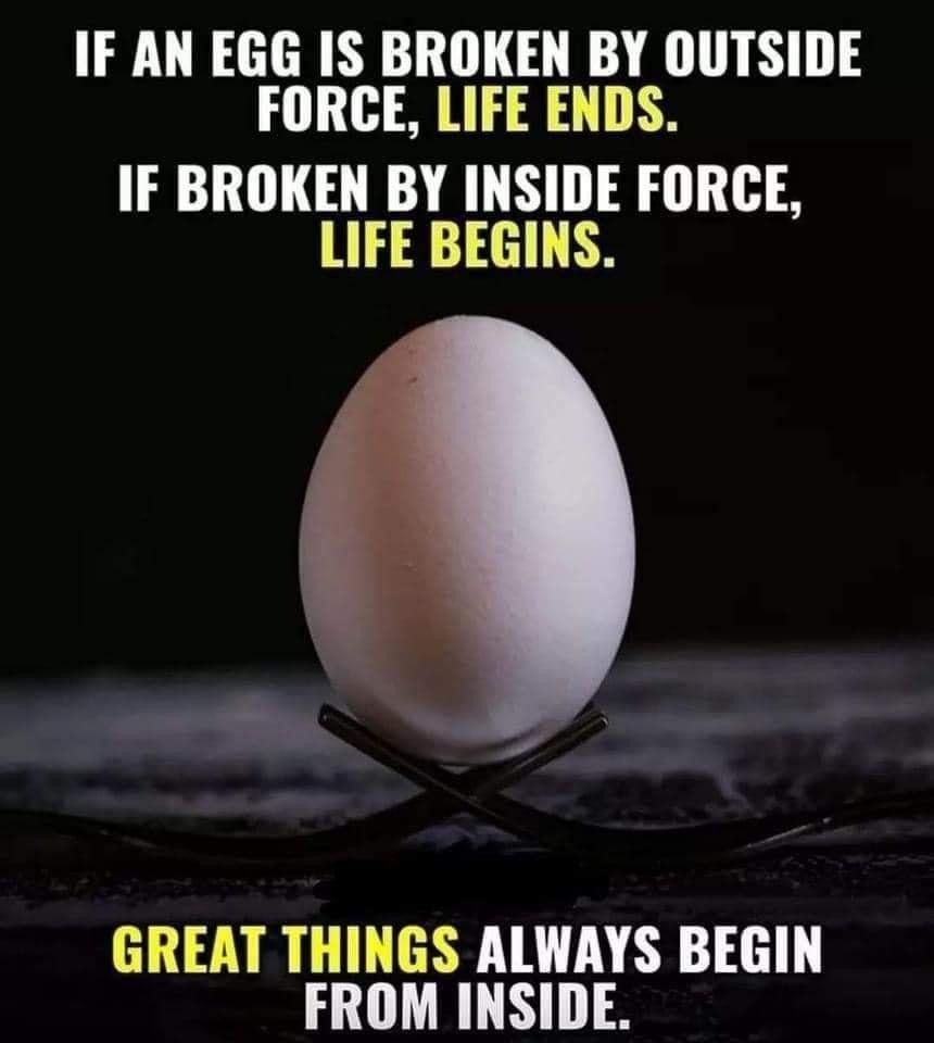 IF AN EGG IS BROKEN BY OUTSIDE FORCE LIFE ENDS IF BROKEN BY INSIDE FORCE LIFE BEGINS GREAT THINGS ALWAYS BEGIN FROM INSIDE