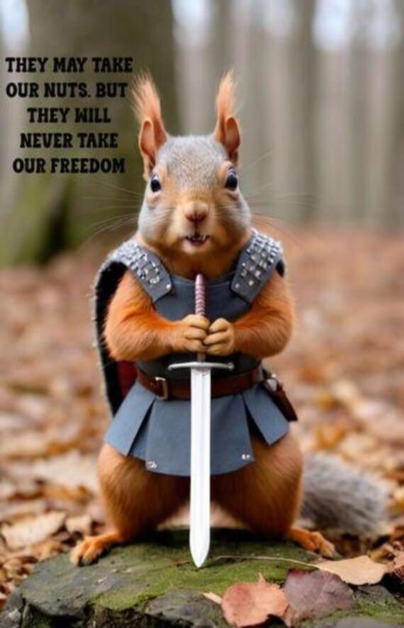 THEY MAY TAKE OUR NUTS. BUT THEY WILL NEVER TAKE OUR FREEDOM