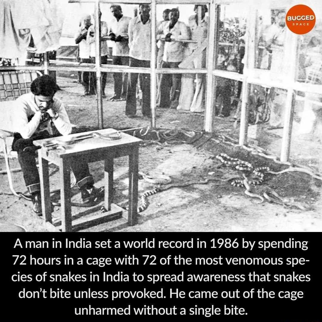 A man in India set a world record in 1986 by spending 72 hours in a cage with 72 of the most venomous spe cies of snakes in India to spread awareness that snakes o o0 W Wl oT1XN 11 ST 0T oV 01 T M S LW or10 YN 10 o o g ToR o unharmed without a single bite