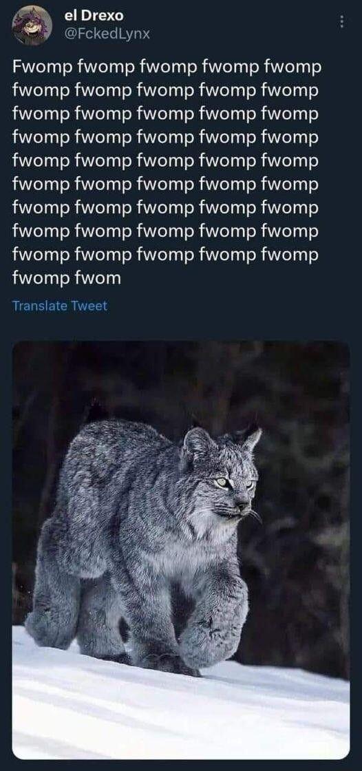 elDrexo Y FckedLynx Fwomp fwomp fwomp fwomp fwomp fwomp fwomp fwomp fwomp fwomp fwomp fwomp fwomp fwomp fwomp fwomp fwomp fwomp fwomp fwomp fwomp fwomp fwomp fwomp fwomp fwomp fwomp fwomp fwomp fwomp fwomp fwomp fwomp fwomp fwomp fwomp fwomp fwomp fwomp fwomp fwomp fwomp fwomp fwomp fwomp fwomp fwom Translate Tweet