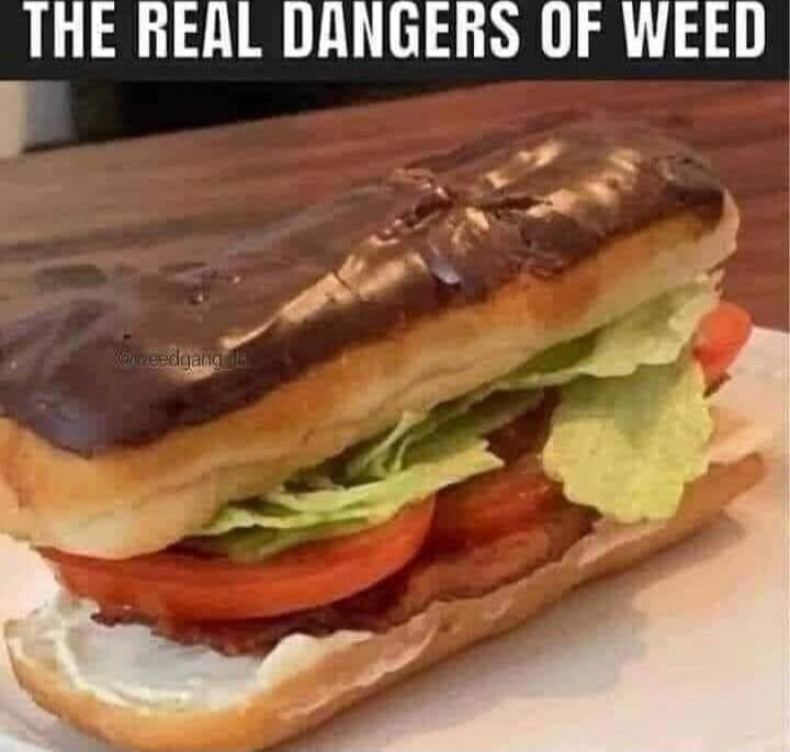 THE REAL DANGERS OF WEED