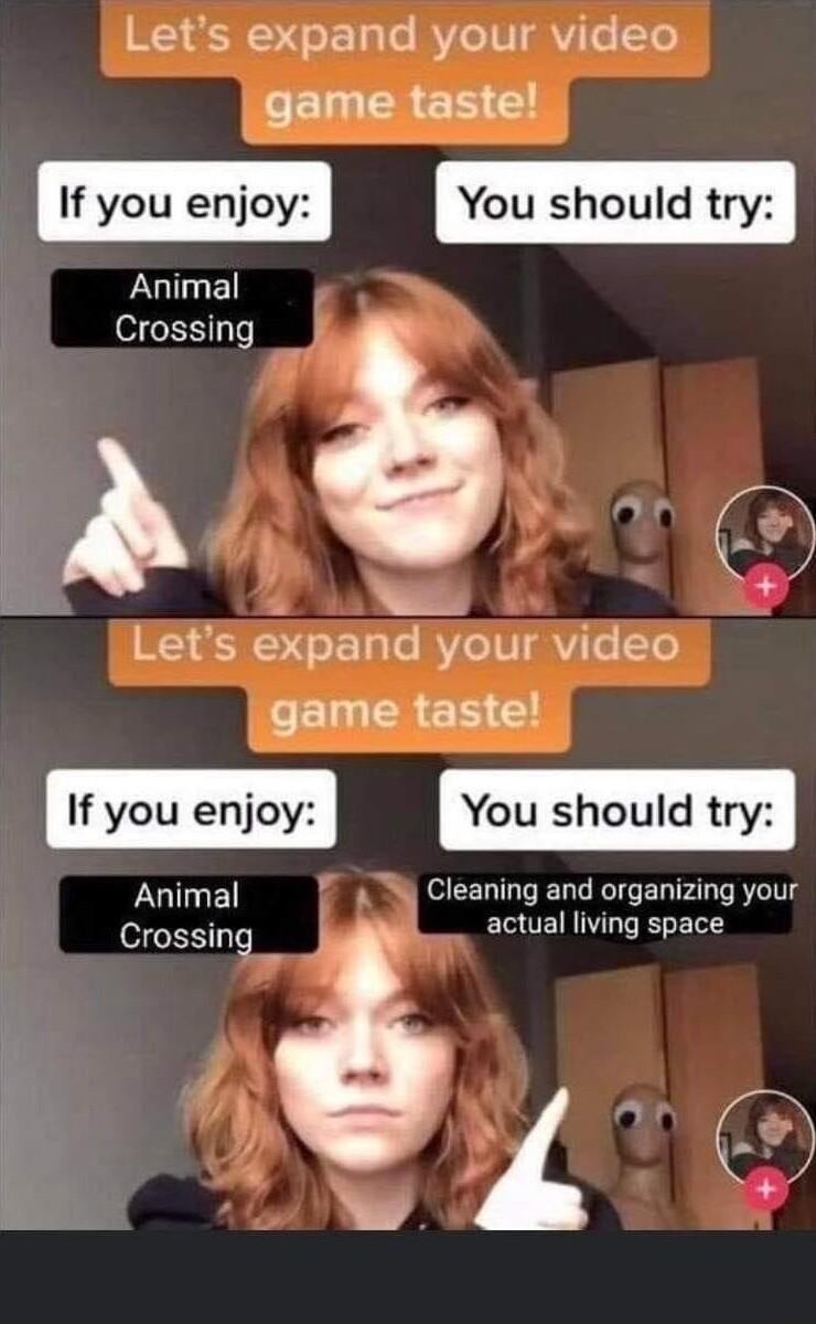 Lets expand your video taamestasiel If you enjoy You should try Animal Crossing Let 5 expand your video If you enjoy You should try Animal s Cleaning and organizing your Crossing actual living space i