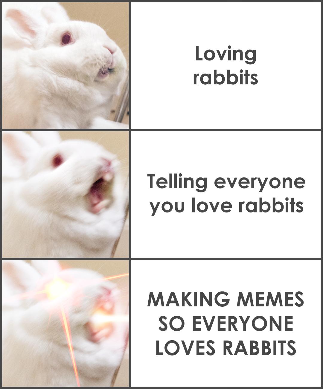 Loving rabbits Telling everyone you love rabbits MAKING MEMES SO EVERYONE LOVES RABBITS