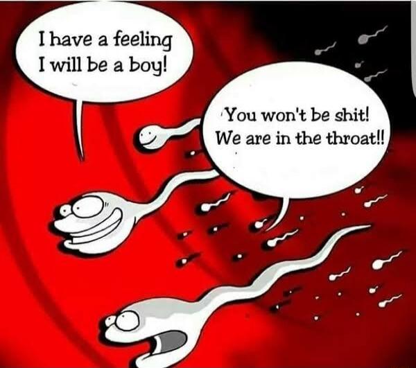 I have a feeling I will be a boy You wont be shit We are in the throat