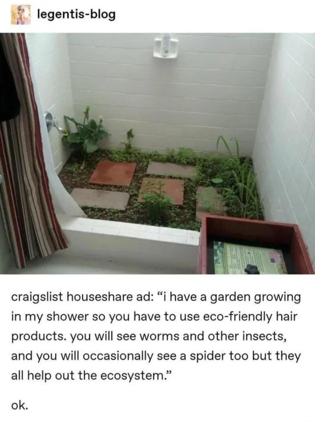 i legentis blog craigslist houseshare ad i have a garden growing in my shower so you have to use eco friendly hair products you will see worms and other insects and you will occasionally see a spider too but they all help out the ecosystem ok