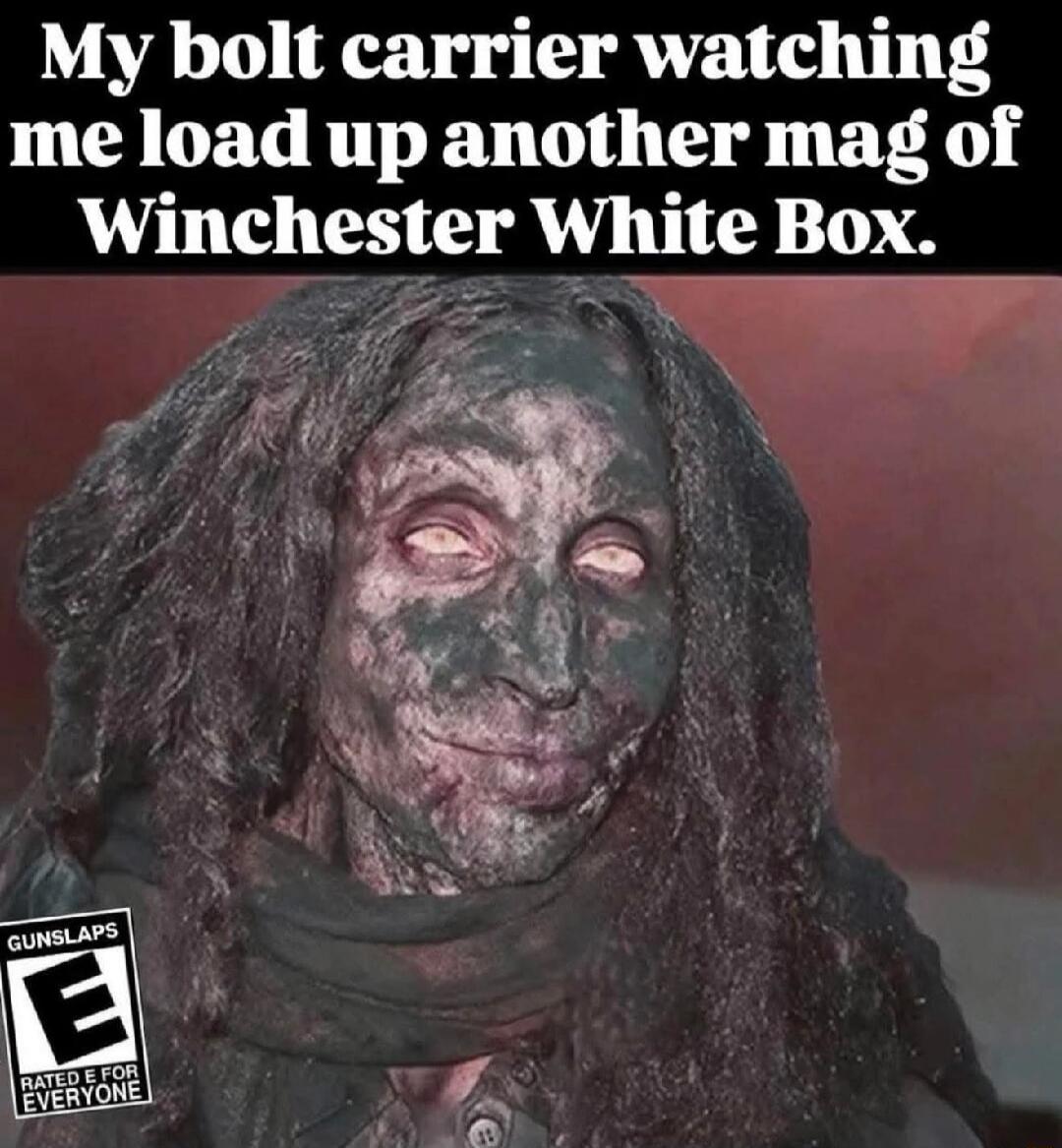My bolt carrier watching me load up another mag of Winchester White Box. GUNSLAPS E RATED E FOR EVERYONE