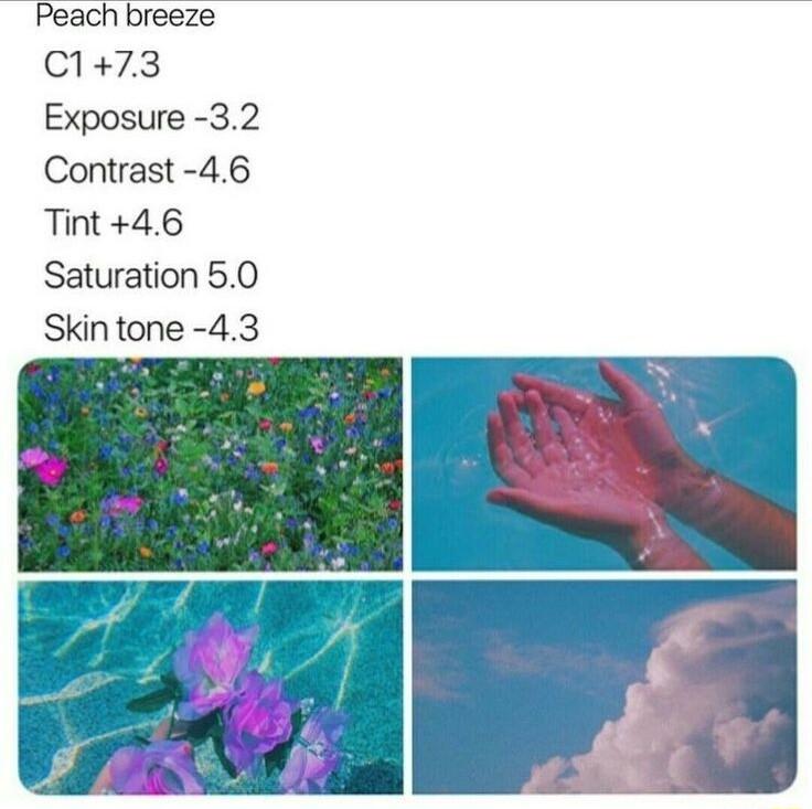 Peach breeze C173 Exposure 32 Contrast 46 Tint 46 Saturation 50 Skin tone 43