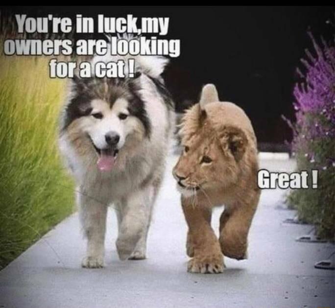 Youre in luckmy