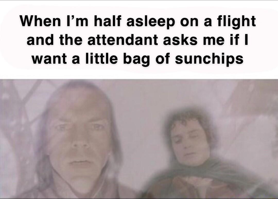 When Im half asleep on a flight and the attendant asks me if want a little bag of sunchips