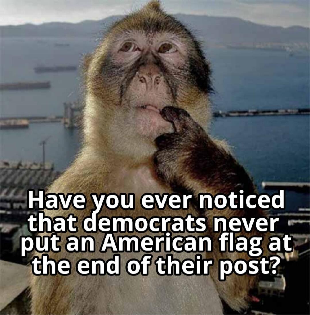 Have you ever noticed that democrats never put an American flag at the end of their post?