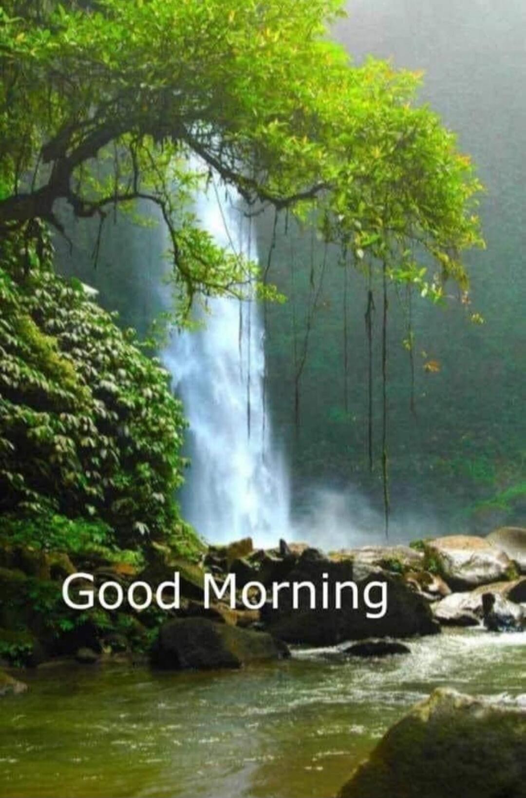 Good Morning