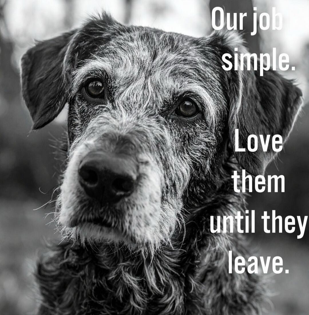 Our job simple. Love them until they leave.