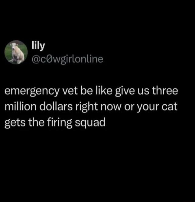 lily @c0wgirlonline emergency vet be like give us three million dollars right now or your cat gets the firing squad