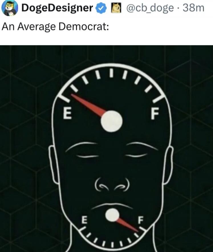 An Average Democrat: