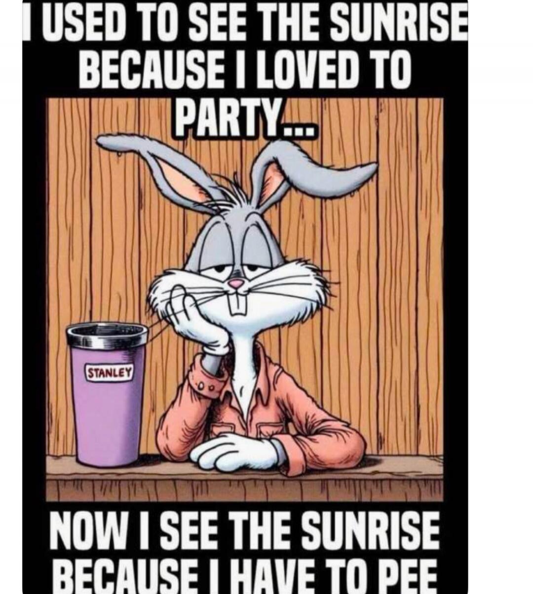 I USED TO SEE THE SUNRISE BECAUSE I LOVED TO PARTY... NOW I SEE THE SUNRISE BECAUSE I HAVE TO PEE. STANLEY