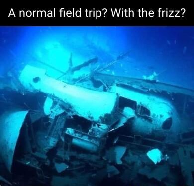 A normal field trip With the frizz