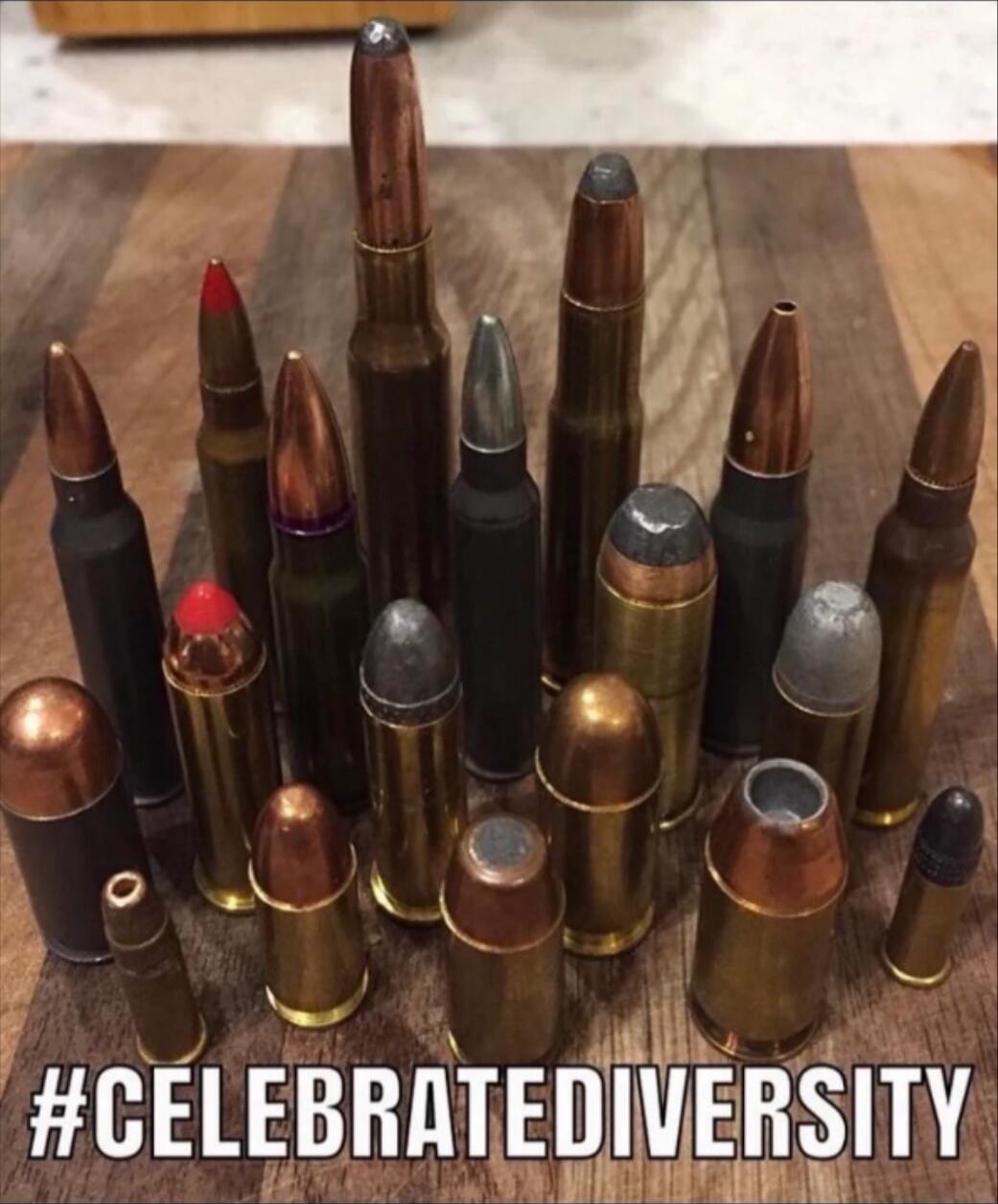 #CELEBRATEDIVERSITY