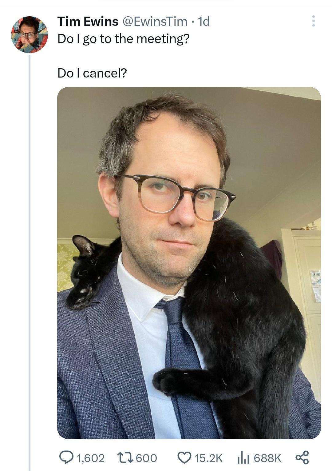 Tim Ewins EwinsTim 1d Do go to the meeting Dol cancel Weoo Q1