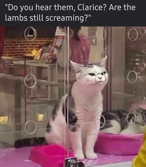 Do you hear them Clarice Are the lambs still screaming o ME