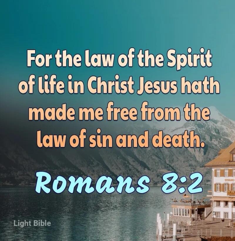 For the law of the Spirit of life in Christ Jesus hath made me free from the law of sin and death. Romans 8:2 Light Bible