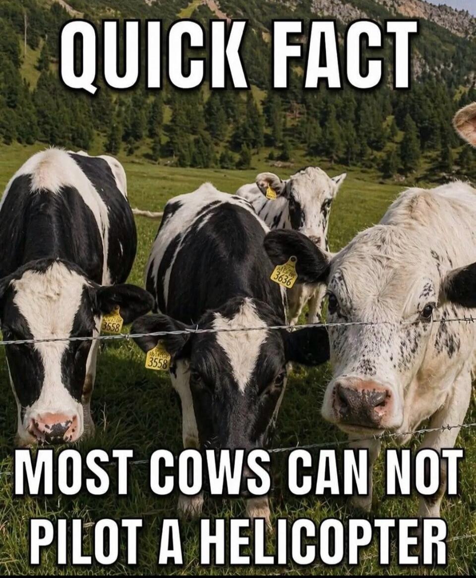 QUICK FACT MOST COWS CAN NOT PILOT A HELICOPTER