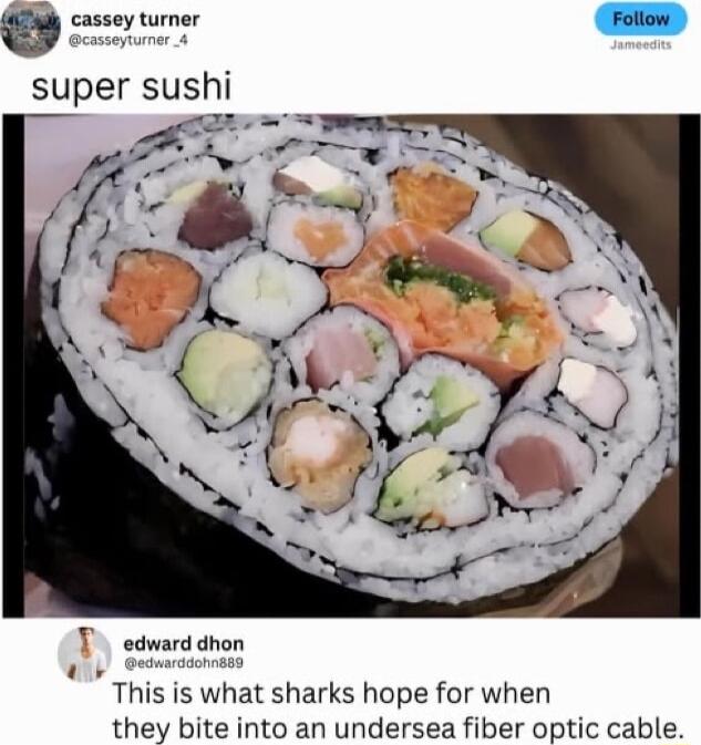 cassey turner Follow super sushi This is what sharks hope for when they bite into an undersea fiber optic cable