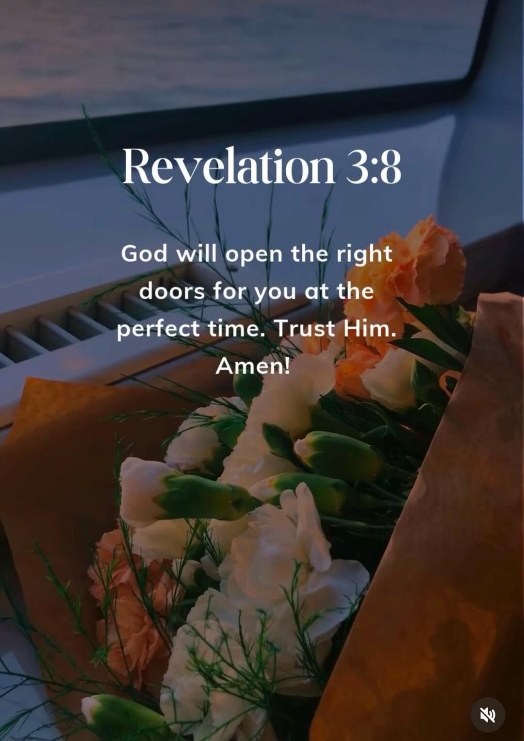Revelation 3:8 God will open the right doors for you at the perfect time. Trust Him. Amen!