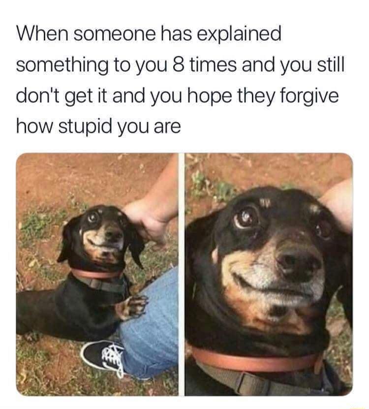 When someone has explained something to you 8 times and you still dont get it and you hope they forgive how stupid you are