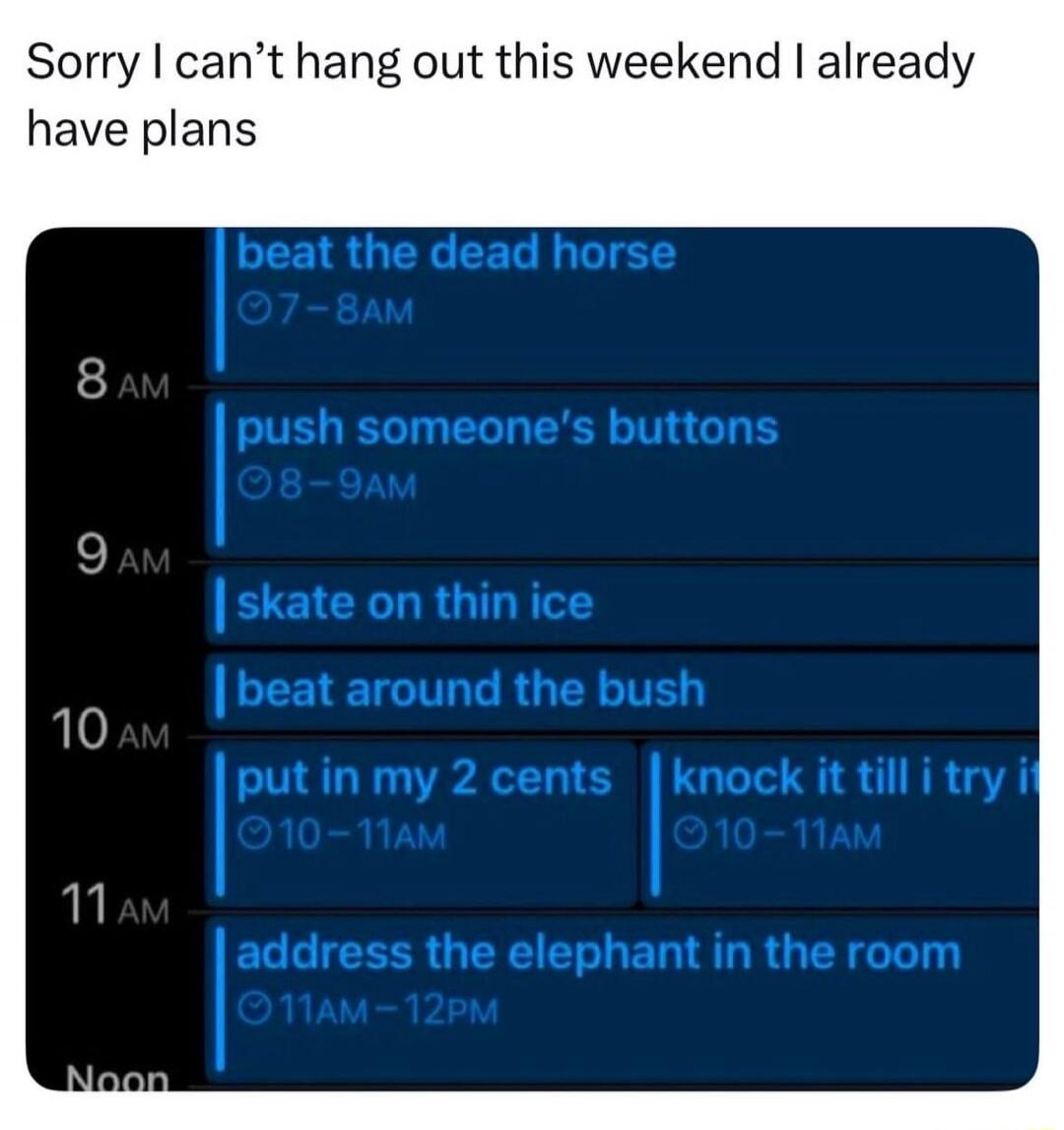 Sorry I can't hang out this weekend I already have plans. 7-8 AM: beat the dead horse. 8-9 AM: push someone's buttons. 9-10 AM: skate on thin ice. 10-11 AM: beat around the bush. 10-11 AM: put in my 2 cents. 10-11 AM: knock it till I try it. 11 AM-12 PM: address the elephant in the room.