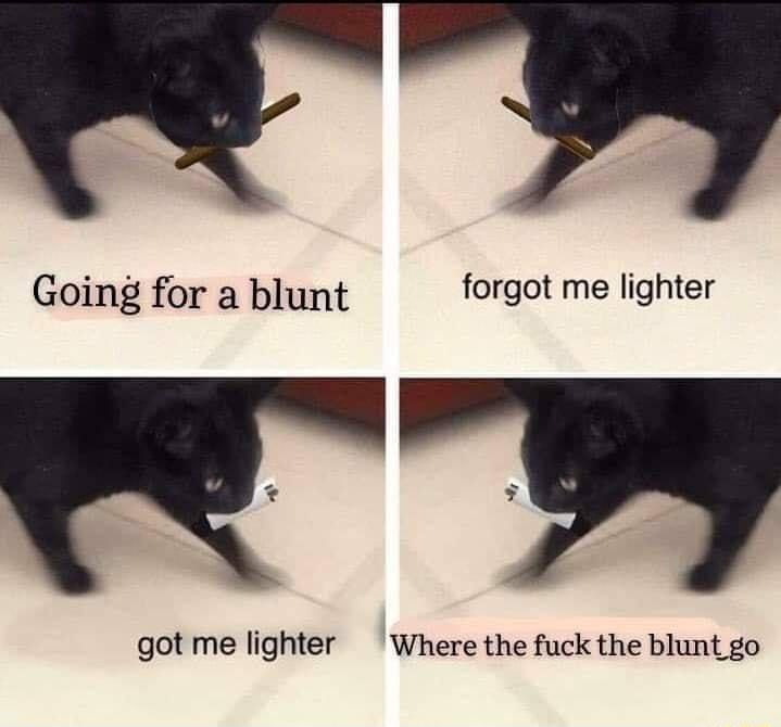 Going for a blunt forgot me lighter got me lighter Where the fuck the blunt go