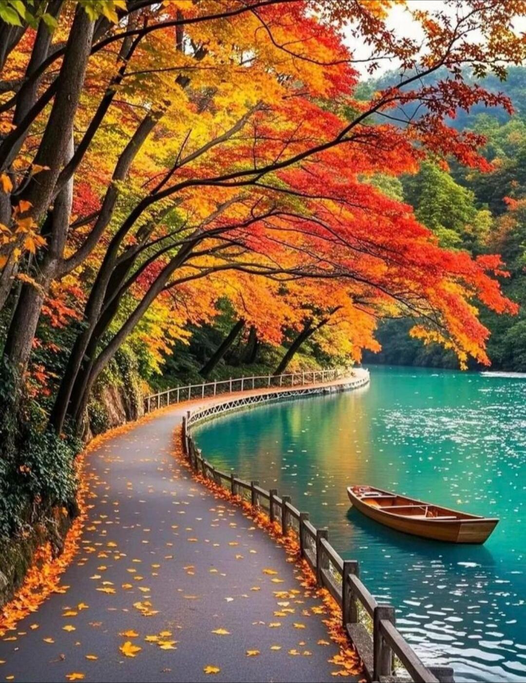 Autumn scene along a lakeside path with colorful foliage.