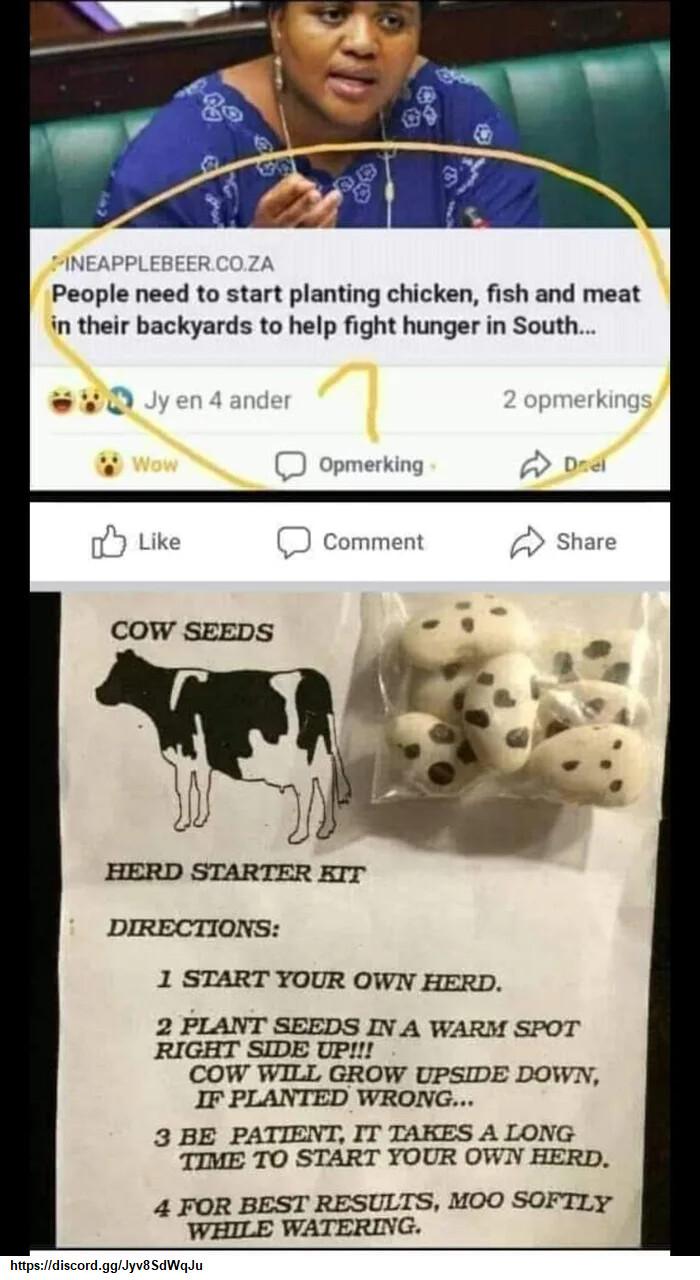People need to start planting chicken fish and meat in their backyards to help fight hunger in South 1 START YOUR OWN HERD 2 PLANT SEEDS IN A WARM SPOT RIGHT SIDE UP COW WILL GROW UPSIDE DOWN IF PLANTED WRONG 3 BE PATIENT IT TAKES A LONG TIME TO START YOUR OWN HERD 4 FOR BEST RESULTS MOO SOFTLY WHILE WATERING itpsidiscordggyvaSdWaJu