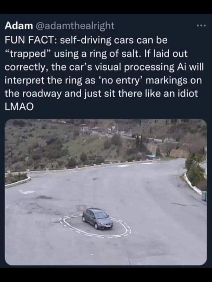V ET NGELERGEEITEGI FUN FACT self driving cars can be trapped using a ring of salt If laid out correctly the cars visual processing Ai will interpret the ring as no entry markings on the roadway and just sit there like an idiot LMAO
