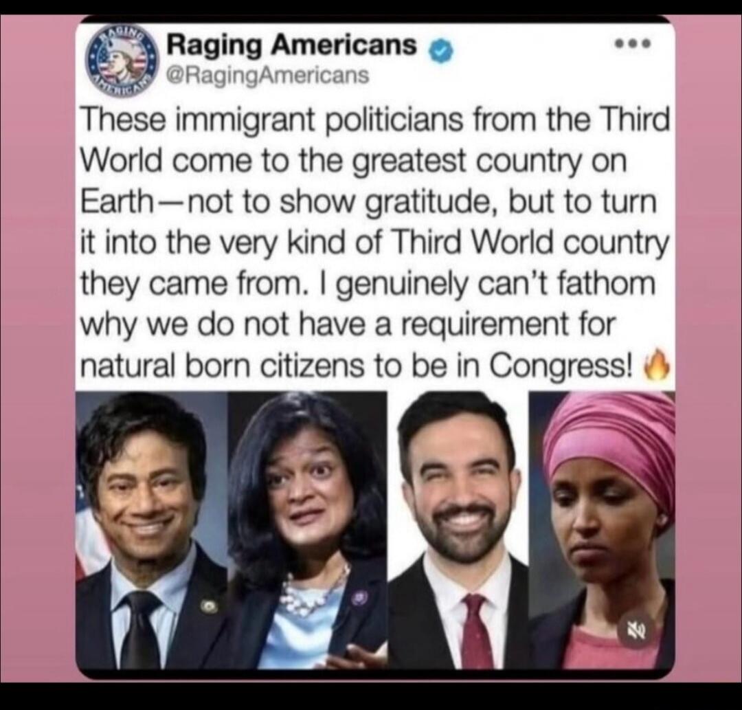 Raging Americans @RagingAmericans These immigrant politicians from the Third World come to the greatest country on Earth—not to show gratitude, but to turn it into the very kind of Third World country they came from. I genuinely can't fathom why we do not have a requirement for natural born citizens to be in Congress! 🔥