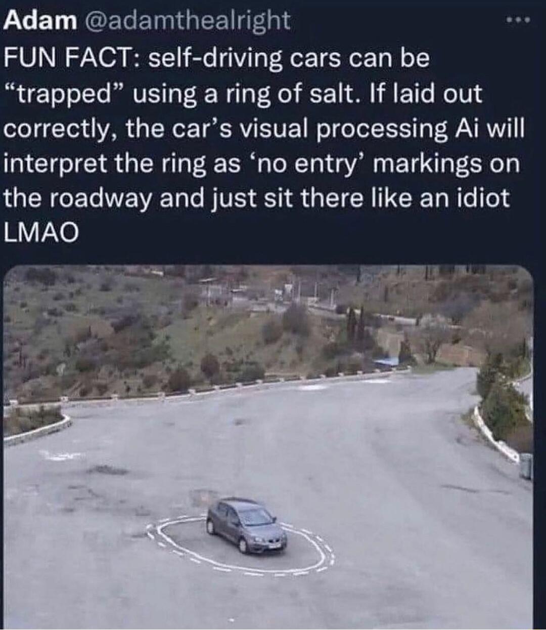 Adam adamthealright FUN FACT self driving cars can be trapped using a ring of salt If laid out correctly the cars visual processing Ai will interpret the ring as no entry markings on the roadway and just sit there like an idiot 1Yo