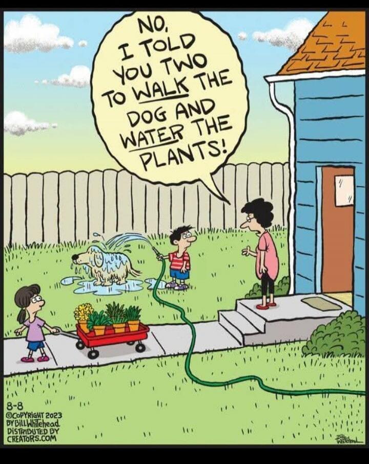 NO, I TOLD YOU TWO TO WALK THE DOG AND WATER THE PLANTS!