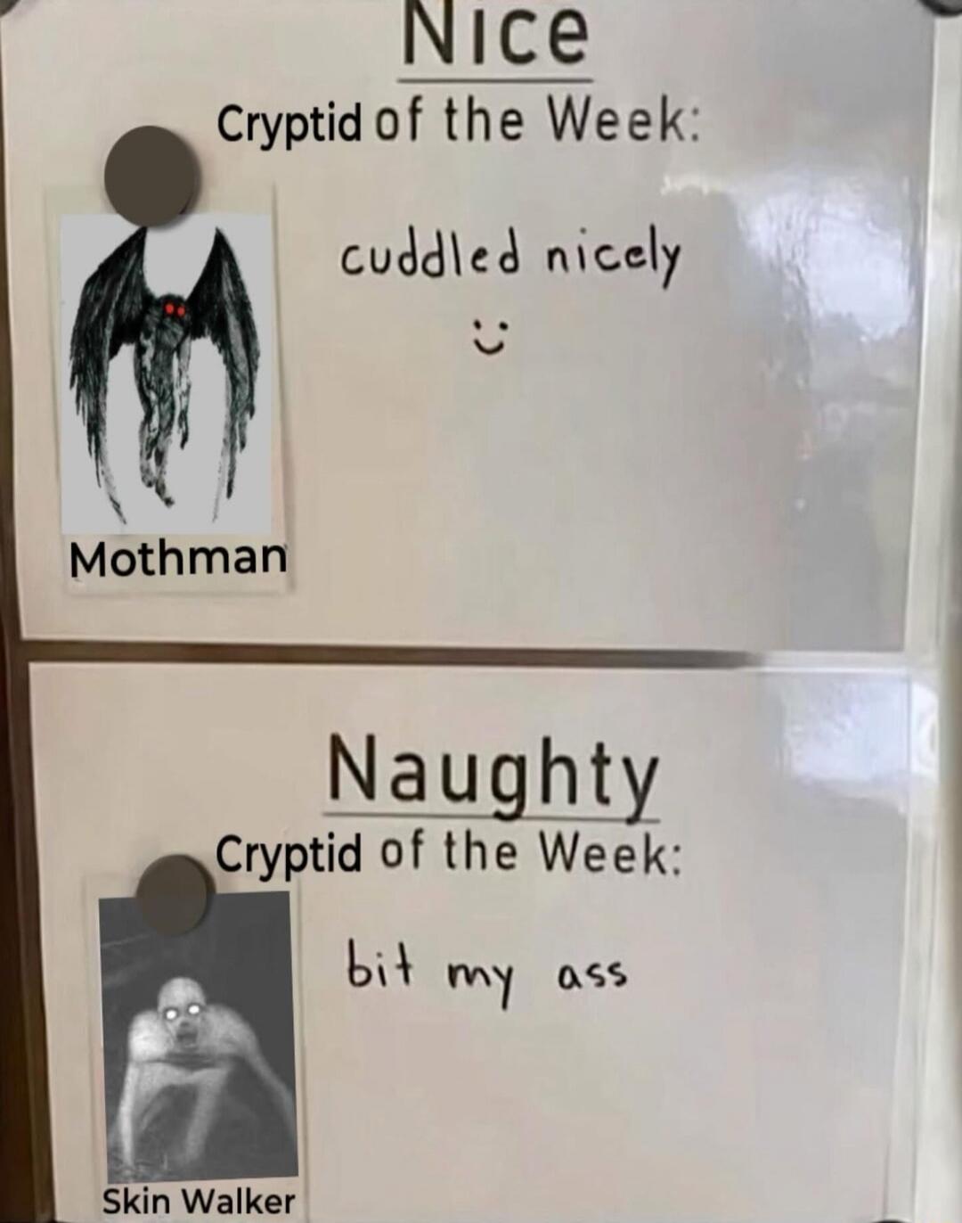 Nice
Cryptid of the Week: cuddled nicely :) Mothman

Naughty
Cryptid of the Week: bit my ass Skin Walker