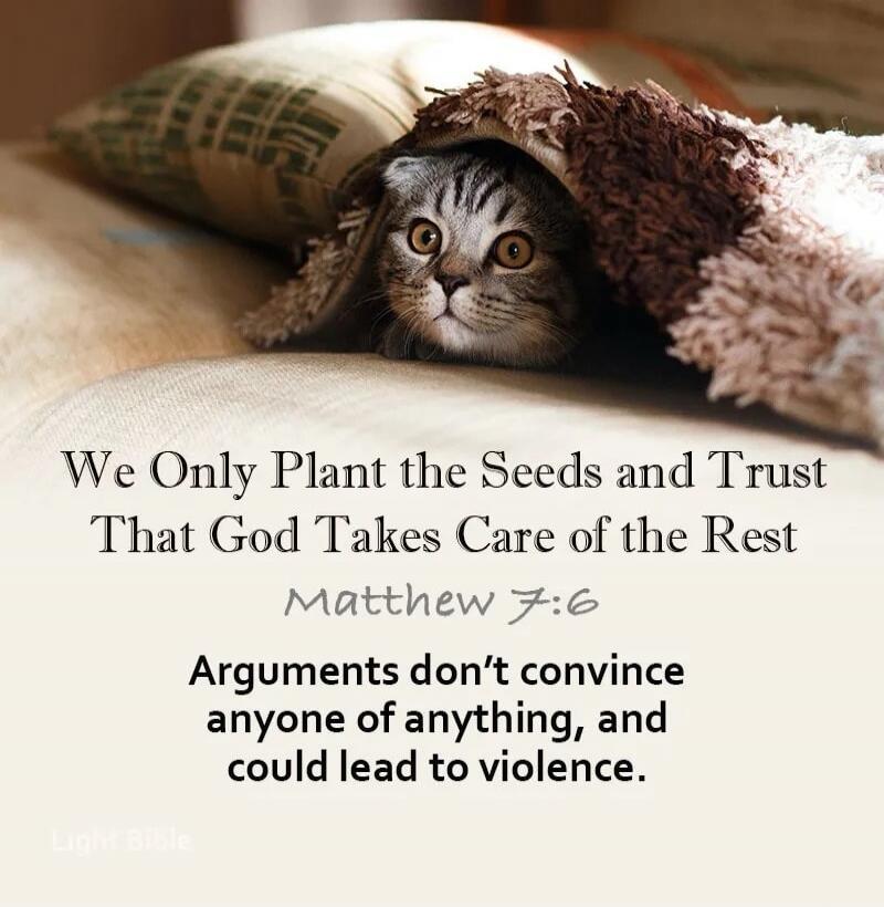 We Only Plant the Seeds and Trust That God Takes Care of the Rest Matthew 7:6 Arguments don't convince anyone of anything, and could lead to violence. Light Bible