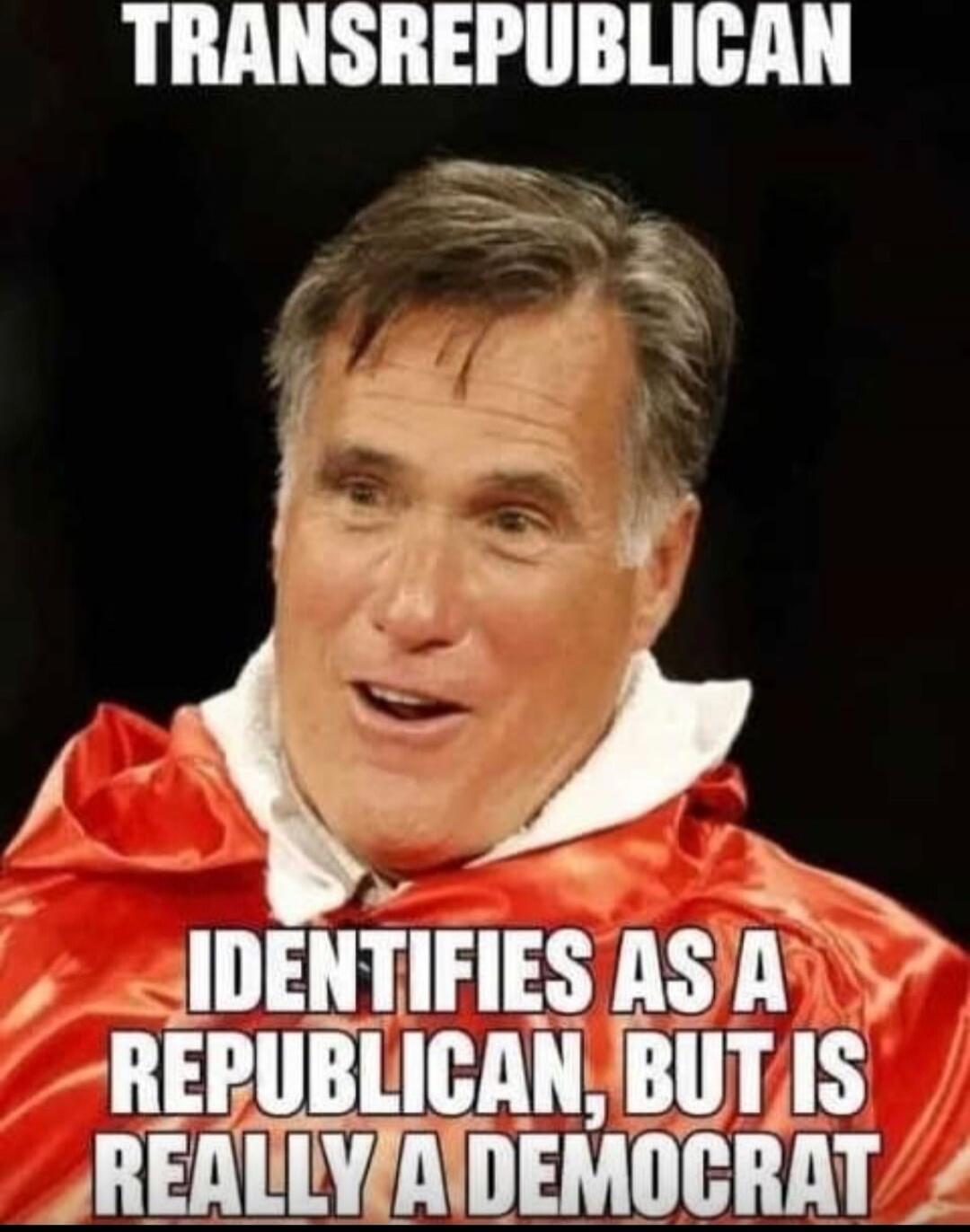 TRANSREPUBLICAN IDENTIFIES AS A REPUBLICAN, BUT IS REALLY A DEMOCRAT